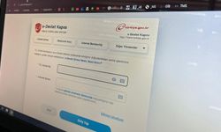 Bilişim uzmanından E-Devlet uyarısı!