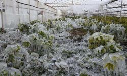 Soğuklar cebe de girecek