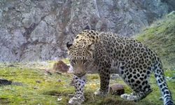 Cezası 45 milyon TL