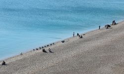 Antalya’da deniz suyu sıcaklığı 19 derece