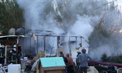 Konteyner ev küle döndü