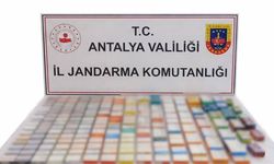 Alanya'da kaçakçılara operasyon