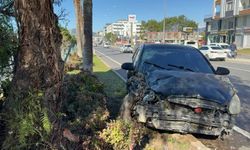 Gazipaşa'da otomobil ağaca çarptı