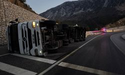 Karayolunda yem yüklü TIR devrildi