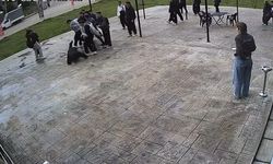 Akran zorbalığı sokağa taştı