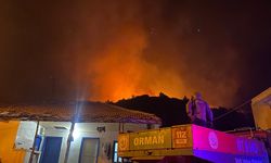 Serik'te orman yangını