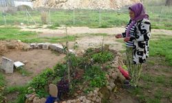 Babasının mezarına uyuşturucu saklamışlar