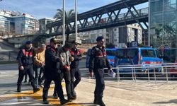 Avokado hırsızlarına adli kontrol