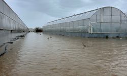 Antalya çiftçisine afet darbesi: Borçlar faizsiz ertelensin!
