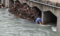 Kemer'de köprü temizliği