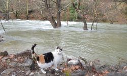 Antalya'da 'su' sevinci