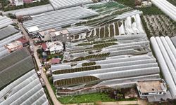 Finike'de hasar tespit çalışması