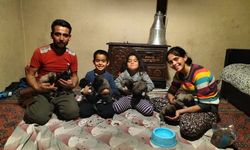 Yavrulara sahip çıktılar