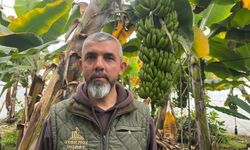 Yüzde 40'ını Alanya karşılıyor