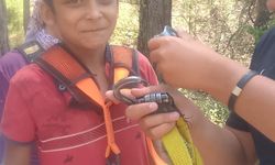 Kayıp çocuk Adana'da bulundu