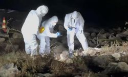 Elif Kumal’ın ölüm nedeni belli oldu