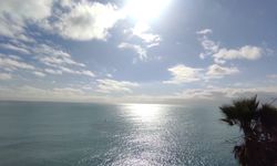 Günler sonra ilk kez göründü