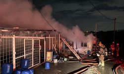 İki iş yeri alev alev yandı