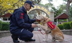 JAK köpeği 'Ocak' 8 yılda 48 can kurtardı