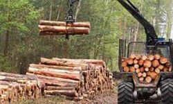 ORMAN EMVALİ İSTİFLENMESİ İŞİ
