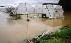 Aksu'da seralar sular altında kaldı