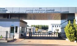 Antalya'da can dostların yuvası