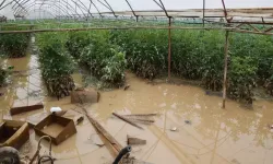 Başkan Çandır, afetin bilançosunu açıkladı