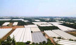 Seralara doğalgaz gelebilir mi?