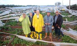 TZOB'dan sel ve hortum için nakdi yardım isteği