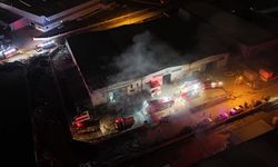 Mobilya fabrikasında yangın