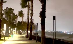 Konyaaltı Sahili’nde ürküten görüntüler