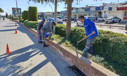 Kemer’de yeşil alanlarda bakım çalışması