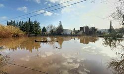 Selin tablosu gün ağarınca ortaya çıktı