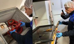 Zabıta gördükleri karşısında şoke oldu