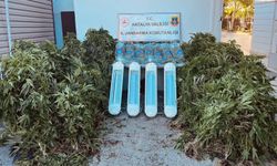 Aksu’da uyuşturucu operasyonu