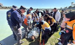 Boğaçayı'ndan atladı