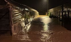 Kumluca'da seralar zarar gördü