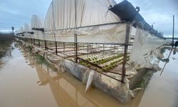 Aku'da sağanak hayatı felç etti