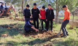 Gazipaşa'da fidanlar toprakla buluştu