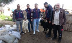 Jandarma çalınan küçükbaşları buldu