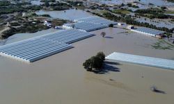 Kaş'ta sera ve evler sular altında kaldı