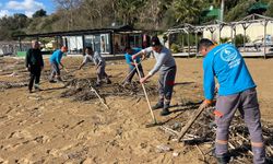 Alanya'da sahil temizliği