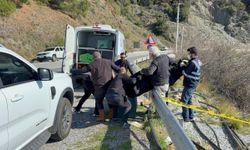Gazipaşa'da yol kenarında kadın cesedi bulundu