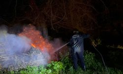 Selinus Kalesi'ndeki yangın korkuttu