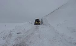 Erzurum'da 5 metre kar yağdı