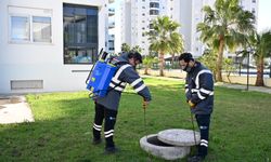 Antalya'da haşereye karşı mücadele