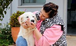 Yeni yuvalarını bekliyorlar