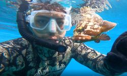 Denizden 'büyü malzemesi' çıkarıyor