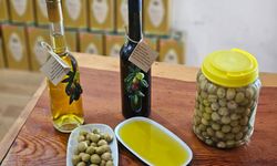 Tavşan yüreği zeytinyağı, kemoterapi kadar etkili