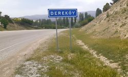 Dereköy Yaylası’nda kömür ocağı tehdidi